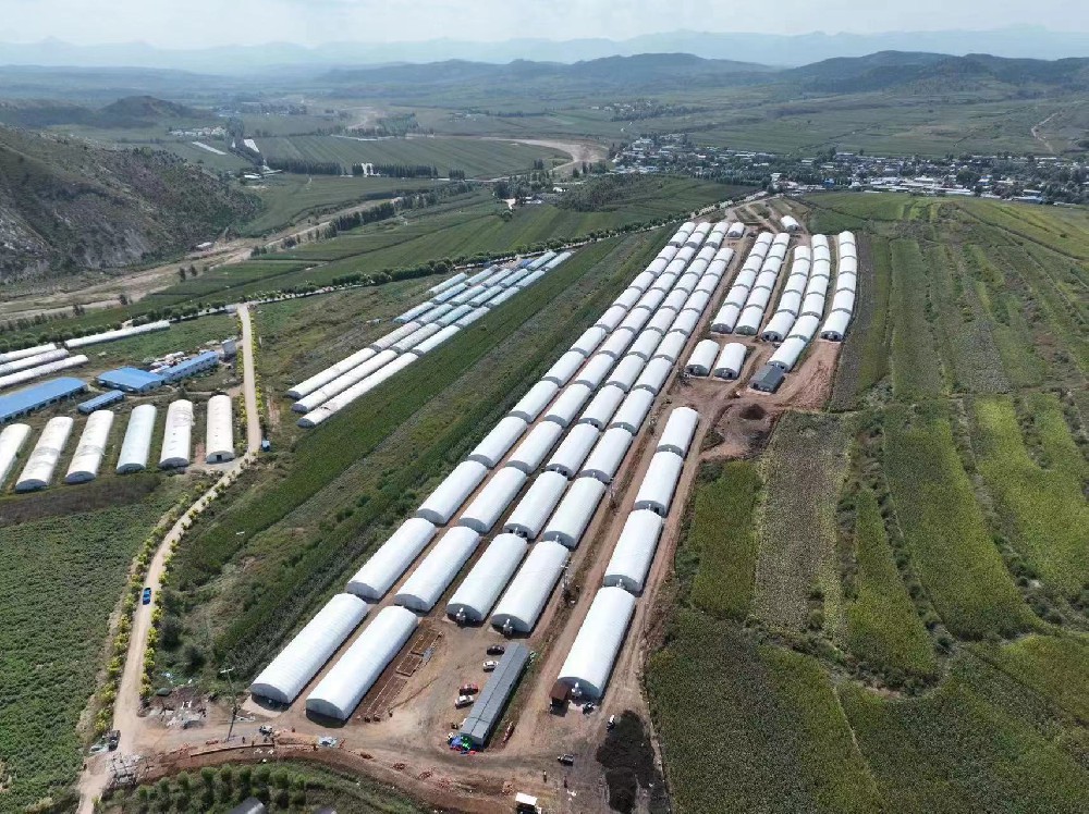 辽宁养殖大棚案例