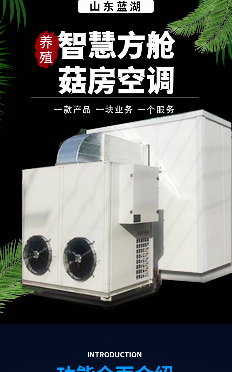 蘑菇详情_01.jpg