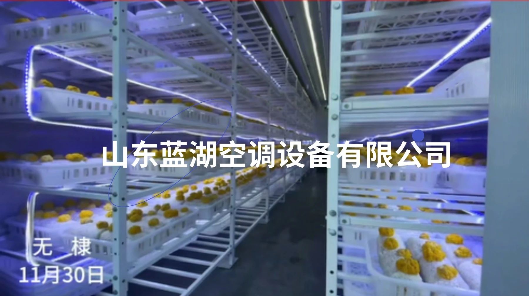 1735881361108303.jpg ae0738f188f3019d8a5d86d7789a080b.jpg