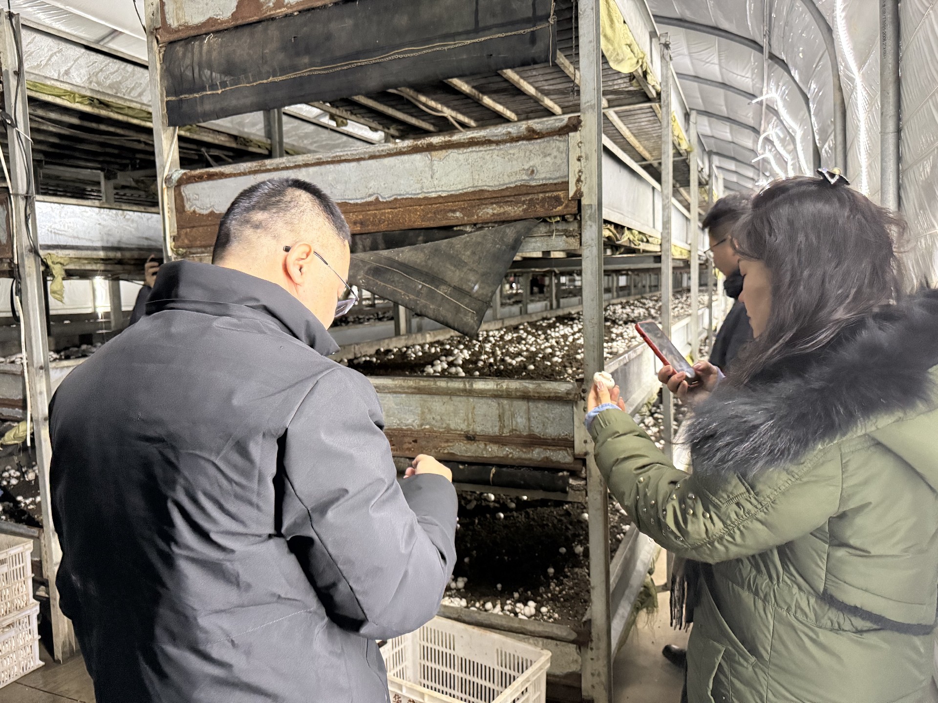 1735881443174690.jpg 51aa110d117076a63b4c359fae4fd6f.jpg