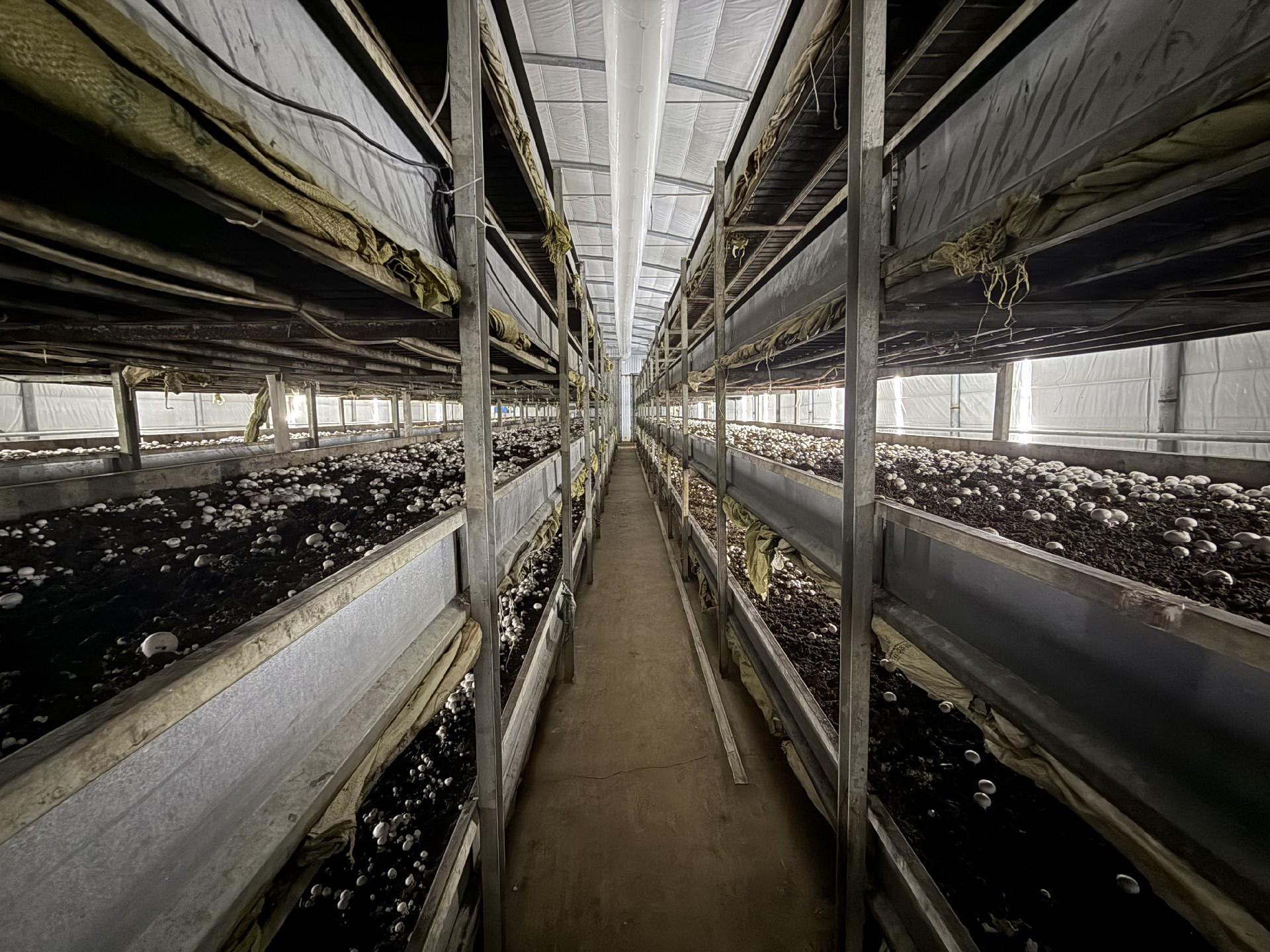 1735881461114861.jpg 34fe2fba975dbe17f97d3ab323bf514.jpg