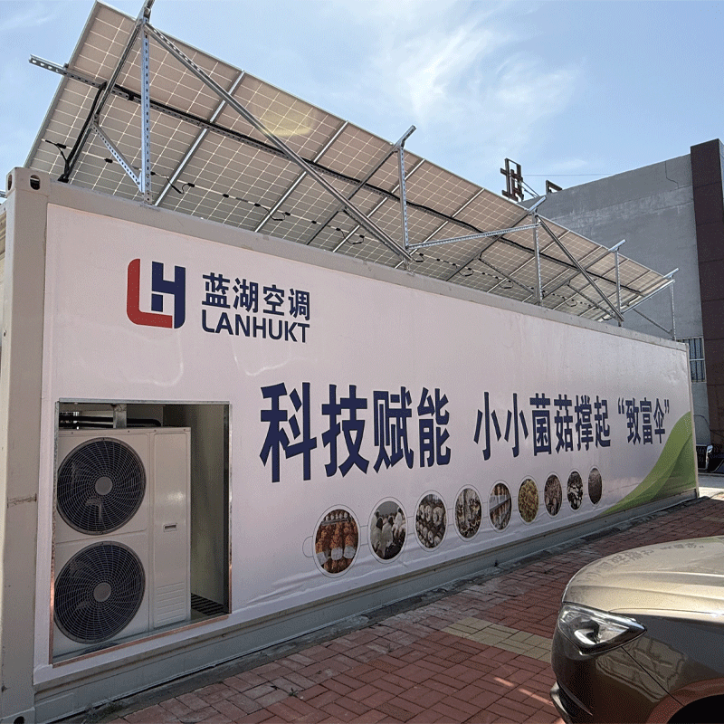 科技赋能，智能菌菇方舱种出“黄金耳”